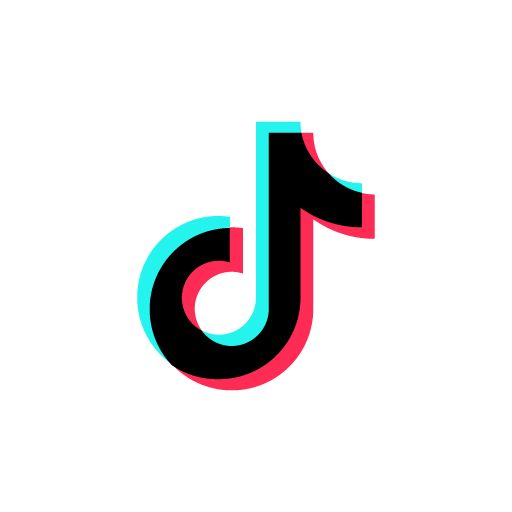 TikTok Ads - Practical Expertise